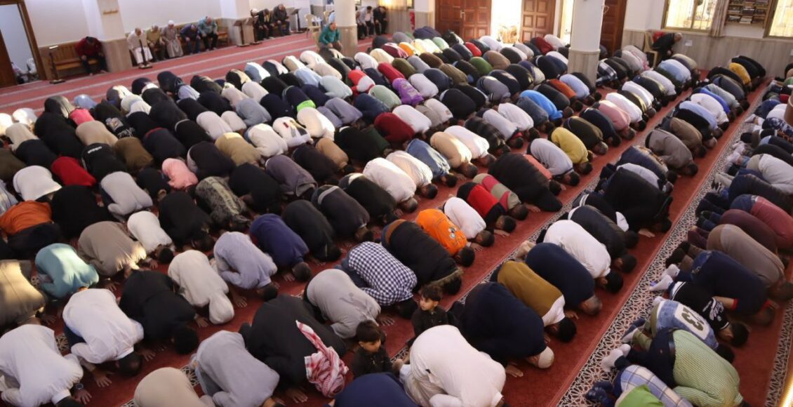 IMG_20250331_115616_678